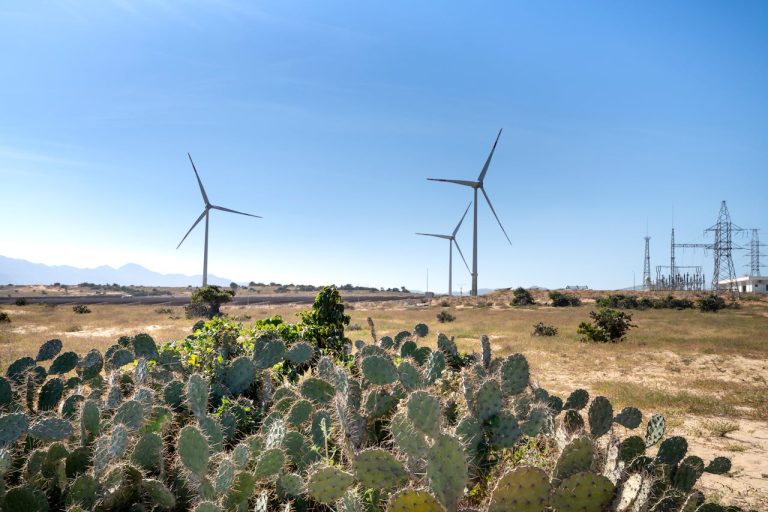 Wind turbines in Fouta Djallon and a biomass plant, representing the growth of Renewable Energy Guinea with yes invest guinea advisory.