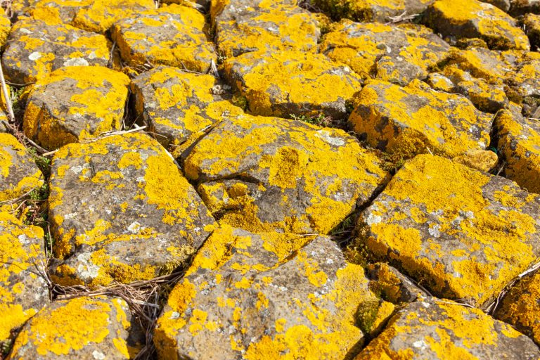Bauxite Export Strategies Guinea's Role in Global Aluminum Supply by yes! invest guinea.