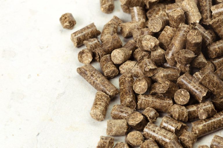 Biomass Power Plants: Agricultural Waste-to-Energy in Guinea overview by yes! invest guinea