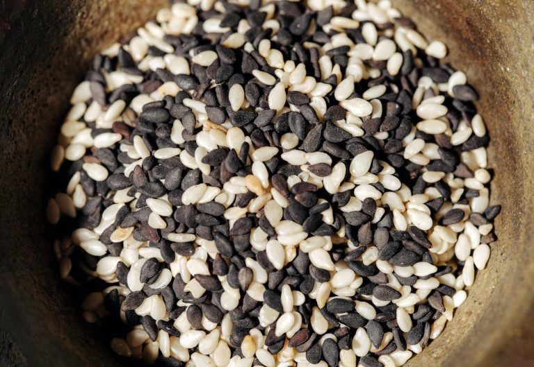 Sesame Seed Farming: Oil Crop Opportunities in Guinea guide by yes! invest guinea.