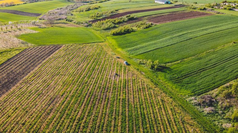 Agriculture Investment Potential in Guinea and Agriculture Investment Guinea by yes! invest guinea.