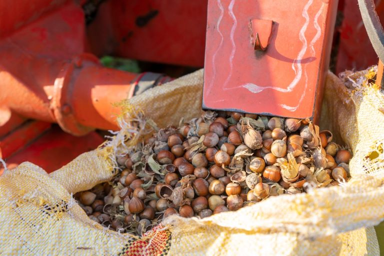 Nut Processing Units: Value-Added Agriculture yes! invest guinea