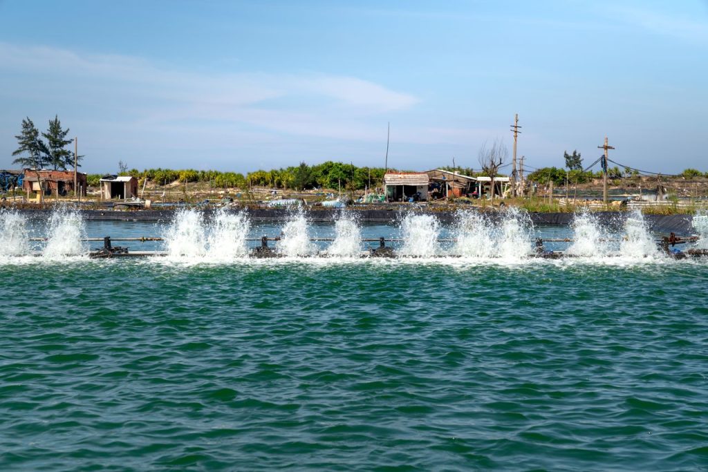Aquaculture Investment Opportunities Along Guinea’s Coastline yes! invest guinea